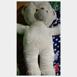  ဝက်ဝံရုပ် Image, classified, Myanmar marketplace, Myanmarkt