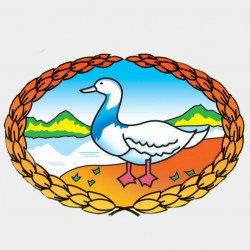  ဝမ်းဘဲ ပုန်းရည်ကြီး Image, classified, Myanmar marketplace, Myanmarkt