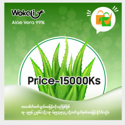  Aloe Vera Image, classified, Myanmar marketplace, Myanmarkt