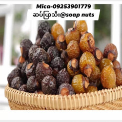  ဆပ်ပြာသီး Image, classified, Myanmar marketplace, Myanmarkt