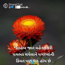  dreen Image, classified, Myanmar marketplace, Myanmarkt