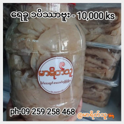  Jelly Fish ရေခူ Image, classified, Myanmar marketplace, Myanmarkt
