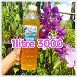  မျိုးမြန်မာအောင်သစ်ခွဆေး Image, classified, Myanmar marketplace, Myanmarkt