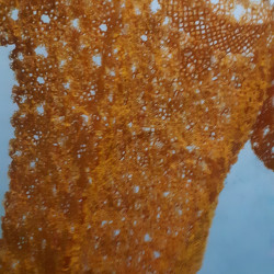  တက်တင်းအကင်္ျီ Image, classified, Myanmar marketplace, Myanmarkt