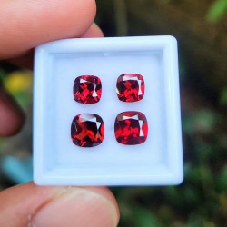  သဘာဝ ဥဒေါင် Image, classified, Myanmar marketplace, Myanmarkt