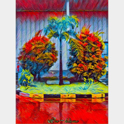  Wet Trees After Rain Image, classified, Myanmar marketplace, Myanmarkt