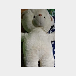  ဝက်ဝံရုပ် Image, classified, Myanmar marketplace, Myanmarkt