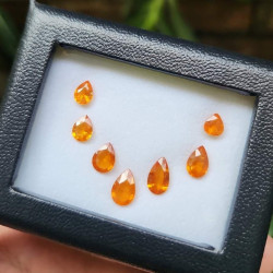  သဘာဝ ရွှေလိမ္မော် ဥဒေါင် Image, classified, Myanmar marketplace, Myanmarkt