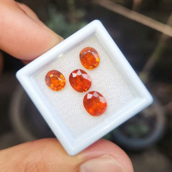  သဘာဝ ရွှေလိမ္မော် ဥဒေါင် Image, classified, Myanmar marketplace, Myanmarkt