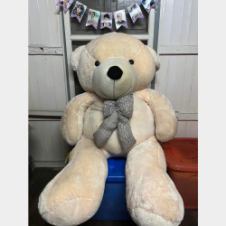  Teddy Bear 🧸 Image, classified, Myanmar marketplace, Myanmarkt