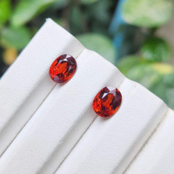  သဘာဝ ရွှေလိမ္မော် ဥဒေါင် Image, classified, Myanmar marketplace, Myanmarkt