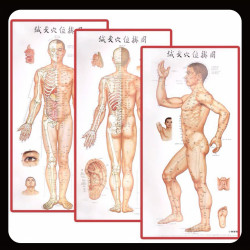  အပ်စိုက်ကားချပ် 70*100cm (Instock) Image, classified, Myanmar marketplace, Myanmarkt