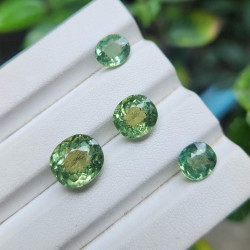  သဘာဝ နဂါးသွဲ့) Image, classified, Myanmar marketplace, Myanmarkt