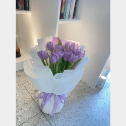 Tulip Purple Flower Image