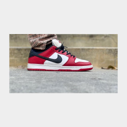 Nike sb dunk chicago Image