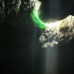  လန့်ဂျိတ် Image, classified, Myanmar marketplace, Myanmarkt