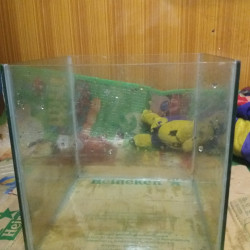  ငါးကန် Image, classified, Myanmar marketplace, Myanmarkt