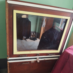  တီဗွီစင်လေး Image, classified, Myanmar marketplace, Myanmarkt