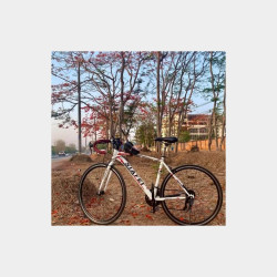  Road bike ရောင်းမည်။ Image, classified, Myanmar marketplace, Myanmarkt