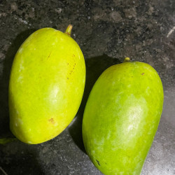 Ford Contour 2012  Image, classified, Myanmar marketplace, Myanmarkt