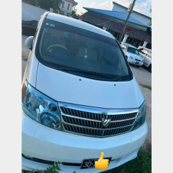 Toyota Alphard 2003  Image, classified, Myanmar marketplace, Myanmarkt