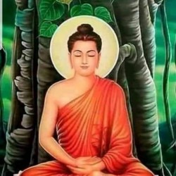 Toyota Harrier 2000  Image, classified, Myanmar marketplace, Myanmarkt