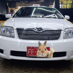 Toyota Corolla Fielder  2005  Image, classified, Myanmar marketplace, Myanmarkt