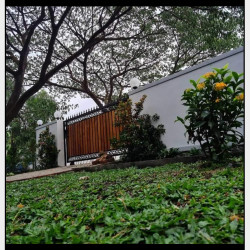  မြေကွက်  အမြန်ရောင်းမည် Image, classified, Myanmar marketplace, Myanmarkt