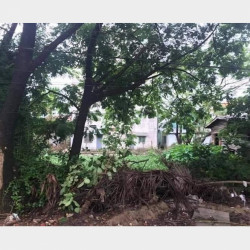  မြေကွက် စျေးတန်တန်လေး လာပြီနော် Image, classified, Myanmar marketplace, Myanmarkt