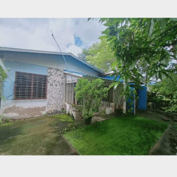  မြောက်ဒဂုံ ၄၆ရပ်ကွက်လုံးခြင်းအရောင်း Image, classified, Myanmar marketplace, Myanmarkt