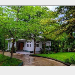  လုံးချင်းအိမ် အမြန်ရောင်းမည်။ Image, classified, Myanmar marketplace, Myanmarkt