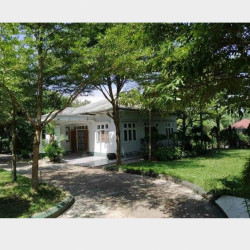  လုံးချင်းအိမ် အမြန်ရောင်းမည်။ Image, classified, Myanmar marketplace, Myanmarkt