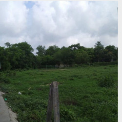  ခြံကွက် အမြန်ရောင်းမည်။ Image, classified, Myanmar marketplace, Myanmarkt