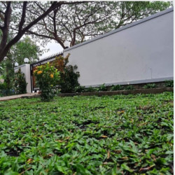  မြေကွက်  အမြန်ရောင်းမည် Image, classified, Myanmar marketplace, Myanmarkt