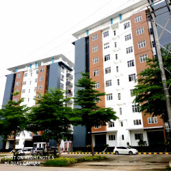  ပေါ်ဆန်းမွှေးကွန်ဒို Image, classified, Myanmar marketplace, Myanmarkt