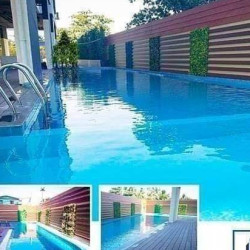  Royal သုခ ကြန္ဒို Image, classified, Myanmar marketplace, Myanmarkt