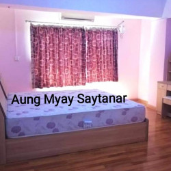  သစၥာရိပ္သာကြန္ဒို Image, classified, Myanmar marketplace, Myanmarkt