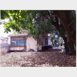  ခြံ ညှိနှိုင်းဈေးဖြင့် အမြန်ရောင်းမည်။ Image, classified, Myanmar marketplace, Myanmarkt