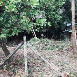  Land in Mayangone for sale Image, classified, Myanmar marketplace, Myanmarkt