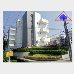  စနိုးဂါးဒင်းလုံးချင်းအရောင်း Image, classified, Myanmar marketplace, Myanmarkt