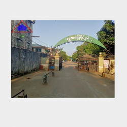  ရွှေသပြေရိပ်မွန်လုံးချင်းအရောင်း Image, classified, Myanmar marketplace, Myanmarkt