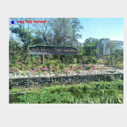  စိမ်းလဲ့ကန်သာလုံးချင်းအိမ်အရောင်း Image, classified, Myanmar marketplace, Myanmarkt