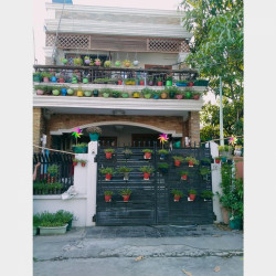  လုံးချင်းအရောင်း Image, classified, Myanmar marketplace, Myanmarkt