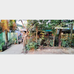  အိမ်နှင့်ခြံအရောင်း Image, classified, Myanmar marketplace, Myanmarkt