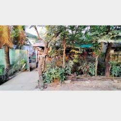  အိမ်နှင့်ခြံအရောင်း Image, classified, Myanmar marketplace, Myanmarkt