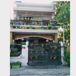  လုံးချင်းအရောင်း Image, classified, Myanmar marketplace, Myanmarkt