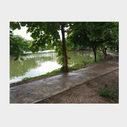  သုဝဏ္ဏ ၊ ဗိုလ်ချုပ်ရွာမြေအရောင်း Image, classified, Myanmar marketplace, Myanmarkt