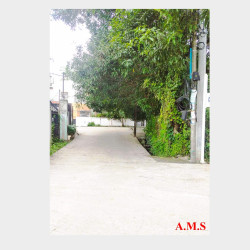  ကမ္ဘောဇရိပ်သာလမ်းမပေါ်မြေကွက်အရောင် Image, classified, Myanmar marketplace, Myanmarkt