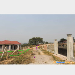  ပြင်ဦးလွင်၊ ရပ်ကွက်ကြီး(၂၀)၊ နောင်ခ Image, classified, Myanmar marketplace, Myanmarkt