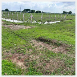  တောင်ဒဂုံမြို့ခြံအရောင်း Image, classified, Myanmar marketplace, Myanmarkt